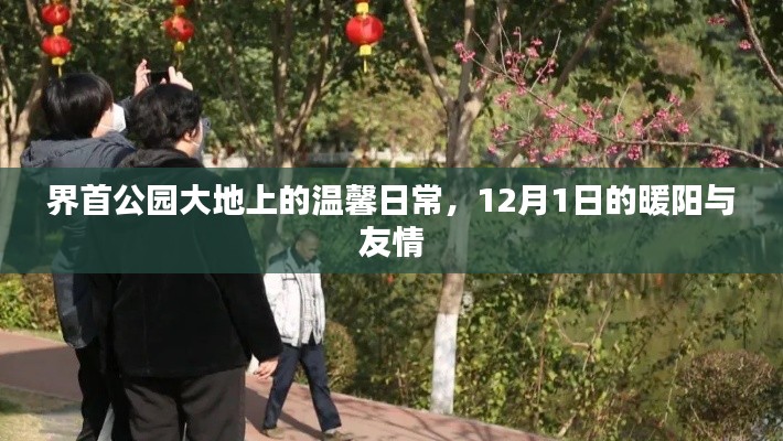 界首公园大地的暖阳友情日，温馨日常的记录