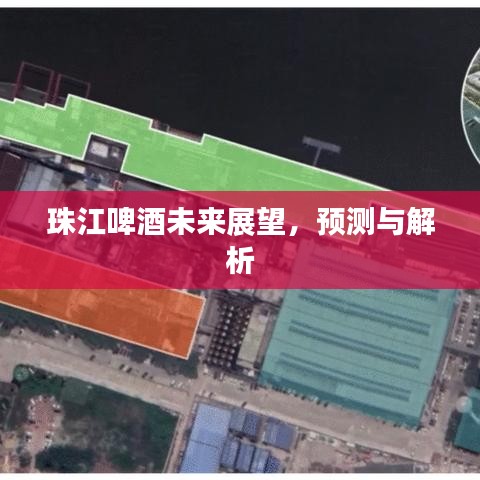 珠江啤酒未来展望，趋势预测与深度解析