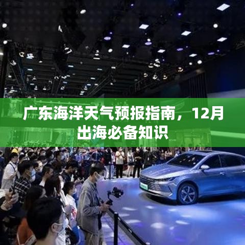 广东海洋天气预报指南，12月出海必备知识与天气预报详解