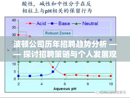 波顿公司招聘趋势解析，招聘策略与个人发展观点探讨历程回顾