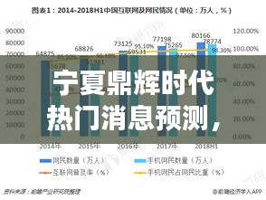 宁夏鼎辉时代，热门消息预测、深度评测与未来前景展望