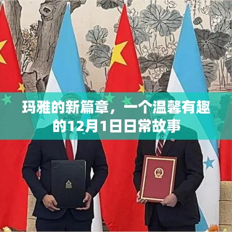 张张屈屈 第4页