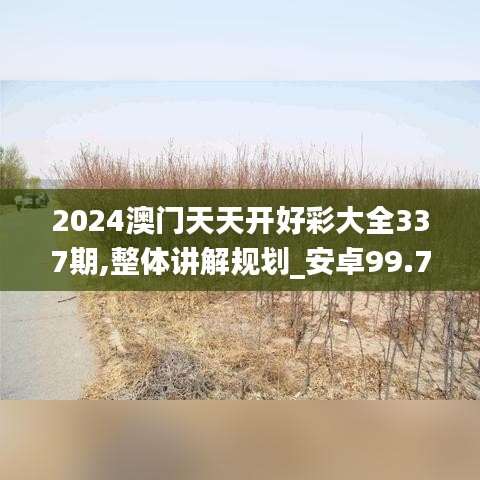 2024澳门天天开好彩大全337期,整体讲解规划_安卓99.715-8