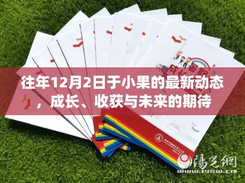 往年12月2日于小果的成长收获与展望未来动态