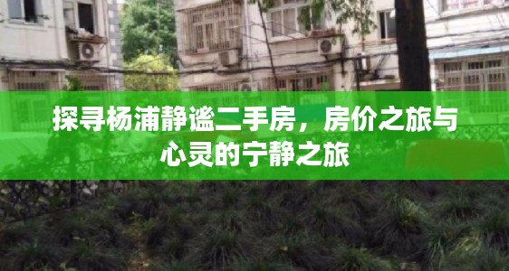 富贵逼人 第3页