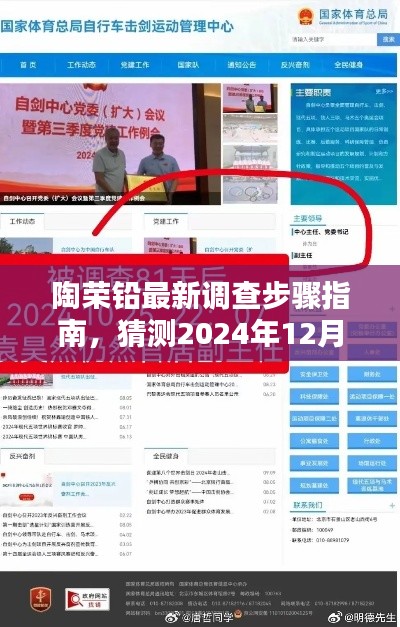 陶荣铅最新调查步骤指南，预测2024年12月2日的结果揭晓