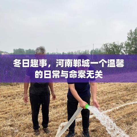 冬日趣事，河南郸城温馨日常与命案无关揭秘