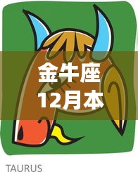 金牛座12月本周运势，爱与陪伴的日常故事揭秘