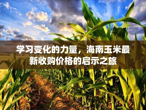 司空见惯 第4页
