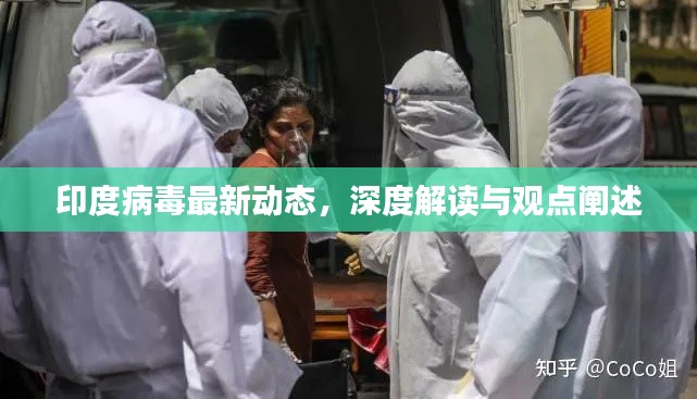 印度病毒最新动态深度解读与观点阐述，全面关注与研究进展