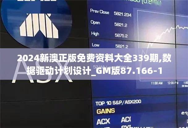 2024新澳正版免费资料大全339期,数据驱动计划设计_GM版87.166-1