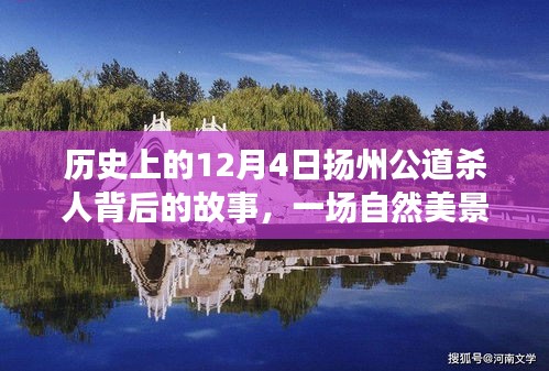 揭秘扬州公道杀人背后的故事，自然美景之旅揭示历史真相