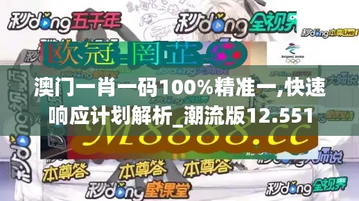 澳门一肖一码100%精准一,快速响应计划解析_潮流版12.551