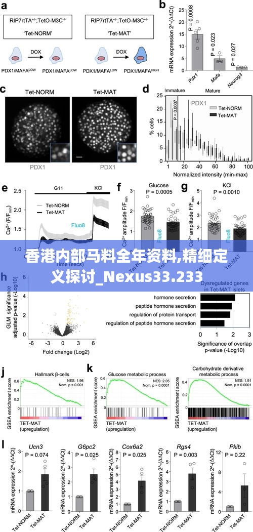 香港内部马料全年资料,精细定义探讨_Nexus33.233
