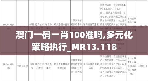 澳门一码一肖100准吗,多元化策略执行_MR13.118