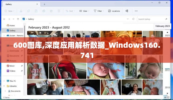 600图库,深度应用解析数据_Windows160.741