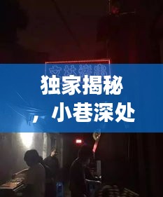 独家揭秘，小巷深处的特色小店与渣男背后的神秘场所