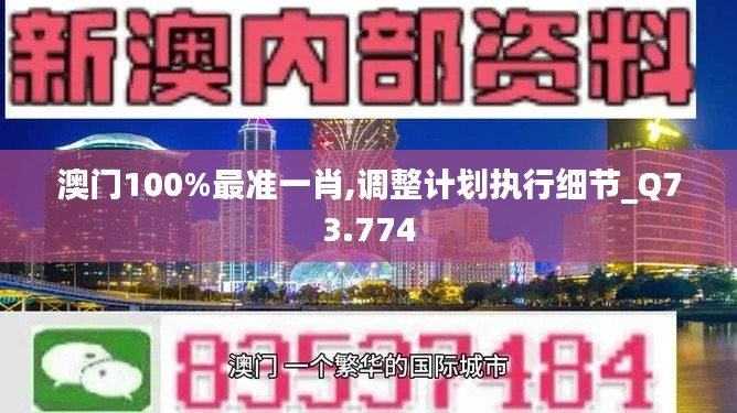 澳门100%最准一肖,调整计划执行细节_Q73.774