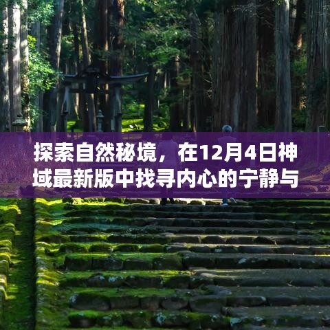 沉鱼落雁 第3页