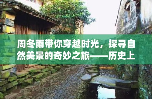 周冬雨引领时光之旅，探寻自然美景的奇妙之旅——十二月四日最新动态