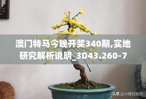 澳门特马今晚开奖340期,实地研究解析说明_3D43.260-7