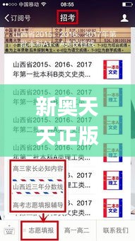 新奥天天正版资料大全341期,重要性解析方法_X版8.196