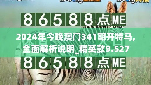 2024年今晚澳门341期开特马,全面解析说明_精英款9.527