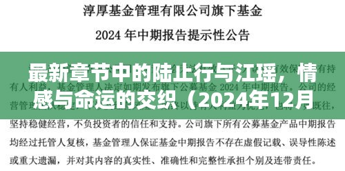 陆止行与江瑶的情感命运交织（最新章节分析，2024年12月4日）