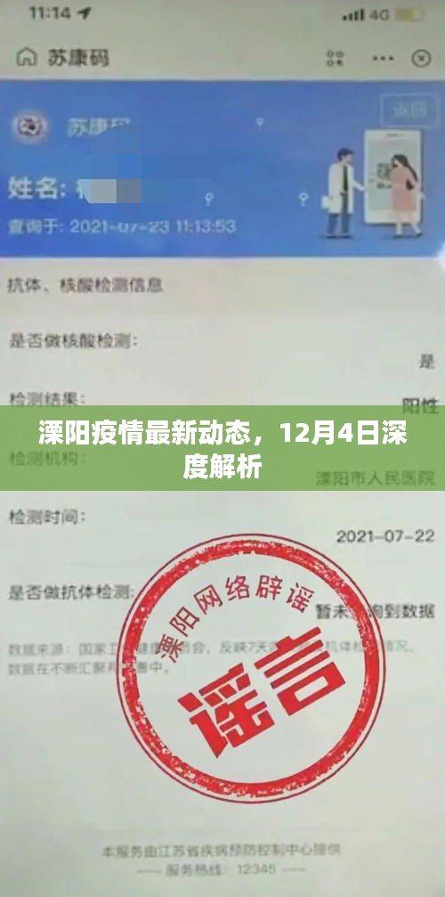 林下风范 第3页