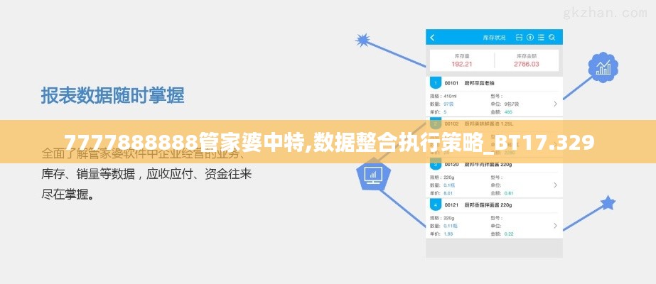 7777888888管家婆中特,数据整合执行策略_BT17.329