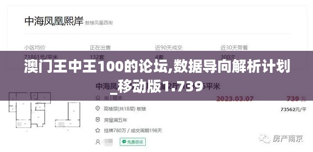 澳门王中王100的论坛,数据导向解析计划_移动版1.739