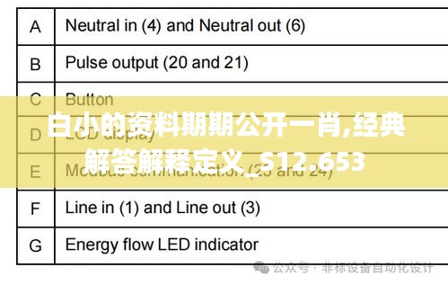 白小的资料期期公开一肖,经典解答解释定义_S12.653