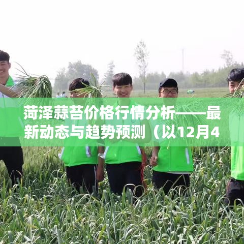 如翚斯飞 第3页