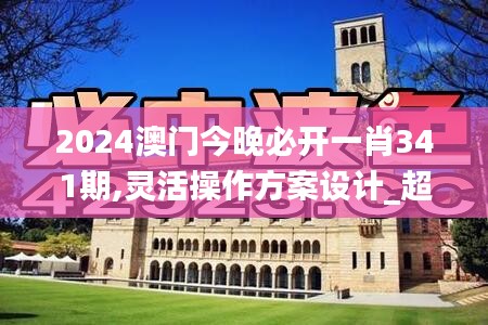 2024澳门今晚必开一肖341期,灵活操作方案设计_超值版9.912