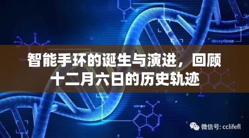 物以稀为贵 第3页