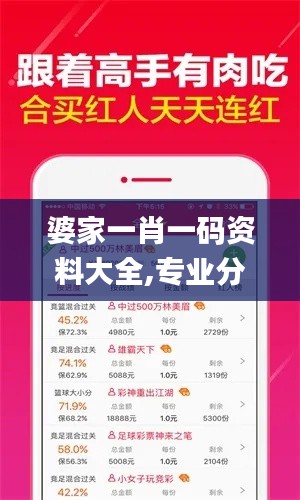 婆家一肖一码资料大全,专业分析说明_Console7.505
