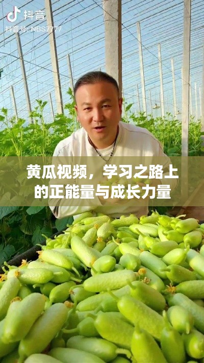 五光十色 第3页