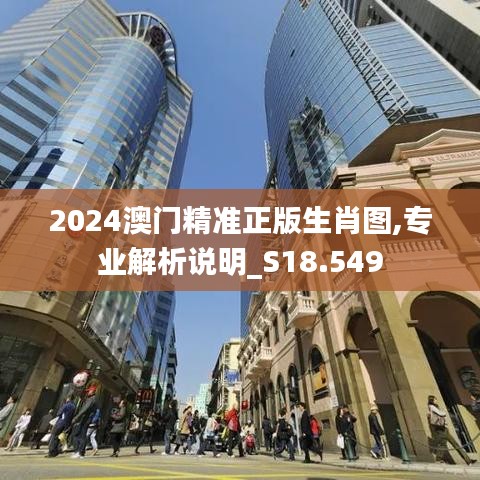 2024澳门精准正版生肖图,专业解析说明_S18.549