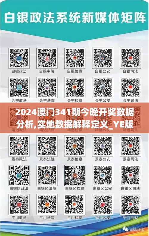 2024澳门341期今晚开奖数据分析,实地数据解释定义_YE版9.561