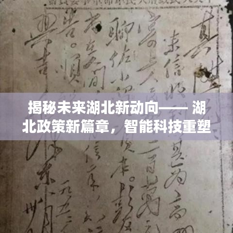 坌鸟先飞 第2页
