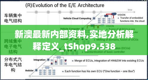 新澳最新内部资料,实地分析解释定义_tShop9.538