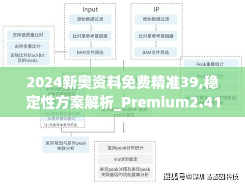 2024新奥资料免费精准39,稳定性方案解析_Premium2.413