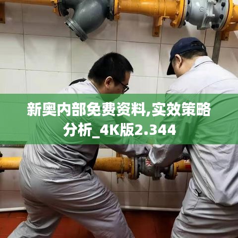 新奥内部免费资料,实效策略分析_4K版2.344