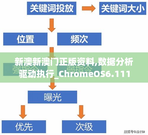 新澳新澳门正版资料,数据分析驱动执行_ChromeOS6.111