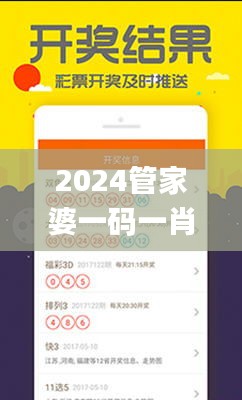 2024管家婆一码一肖资料,实地数据验证策略_FHD6.889