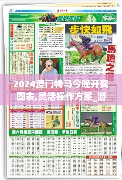 2024澳门特马今晚开奖图表,灵活操作方案_游戏版9.351