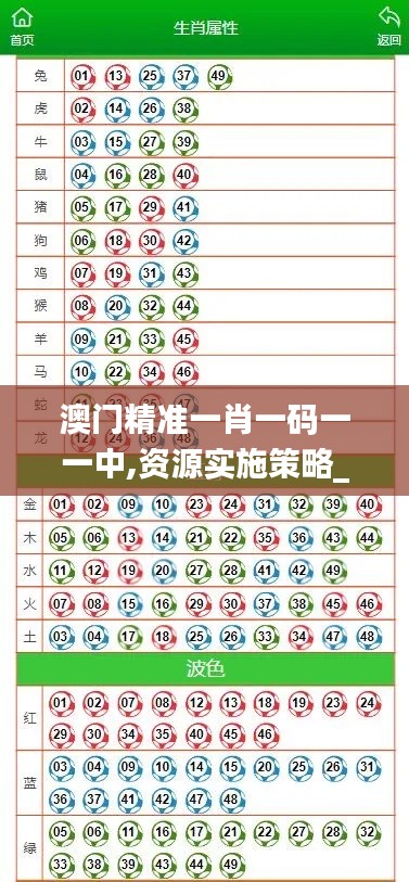 澳门精准一肖一码一一中,资源实施策略_苹果款10.762