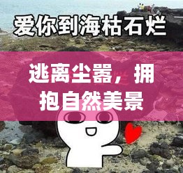 逃离尘嚣，拥抱自然美景，一场emoji表情下的奇妙旅行之旅