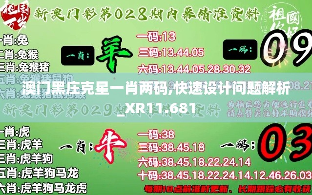 澳门黑庄克星一肖两码,快速设计问题解析_XR11.681