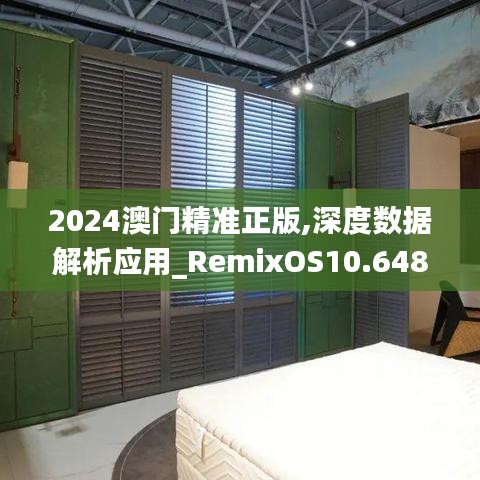 2024澳门精准正版,深度数据解析应用_RemixOS10.648